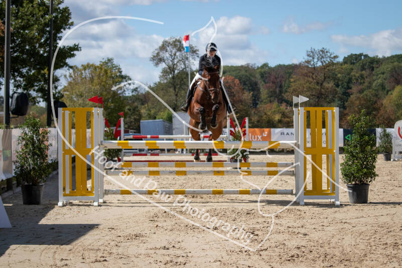 bouferterhaff-jumping-58-standard.jpg