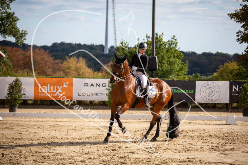 bouferterhaff-jumping-59-standard-3ymhpq.jpg