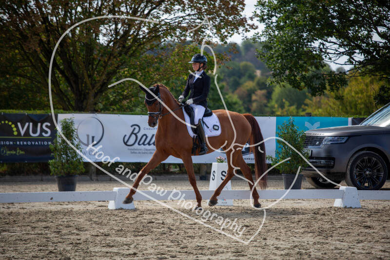 bouferterhaff-jumping-59-standard-ux9gk7.jpg