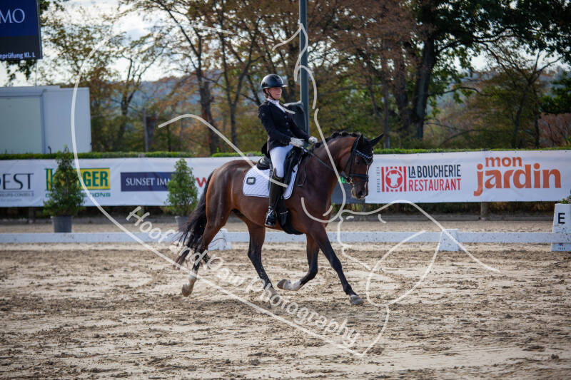 bouferterhaff-jumping-59-standard-vatzv0.jpg