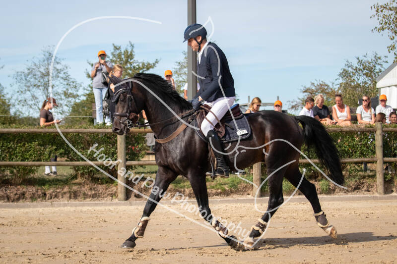 bouferterhaff-jumping-59-standard-w81zjr.jpg
