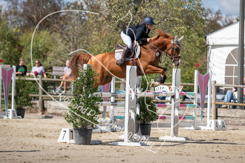 bouferterhaff-jumping-59-standard.jpg