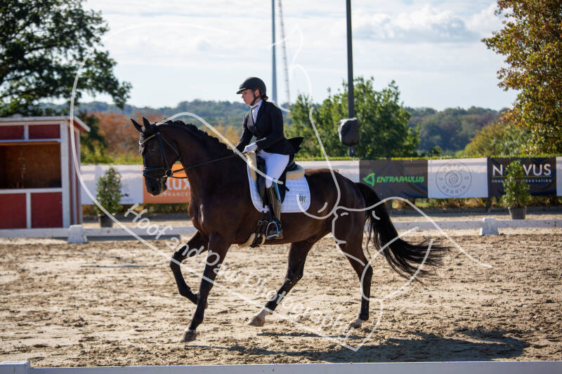 bouferterhaff-jumping-6-standard-1bsypo.jpg