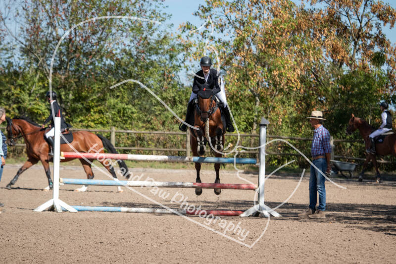 bouferterhaff-jumping-6-standard-7fhnkz.jpg