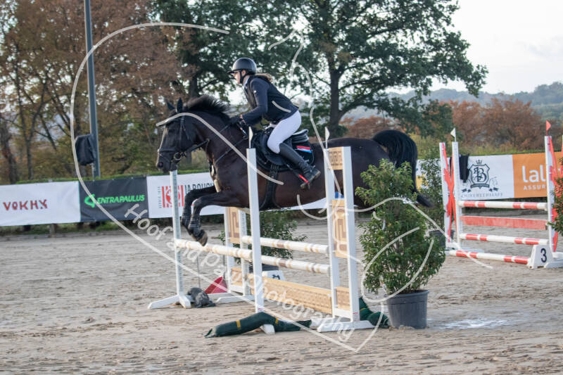 bouferterhaff-jumping-6-standard-83y81z.jpg