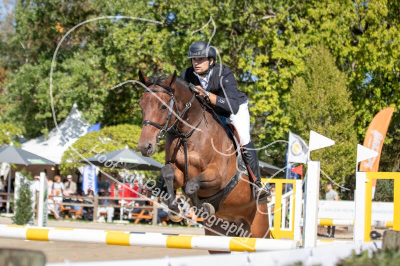 bouferterhaff-jumping-6-standard-cxxb3g.jpg
