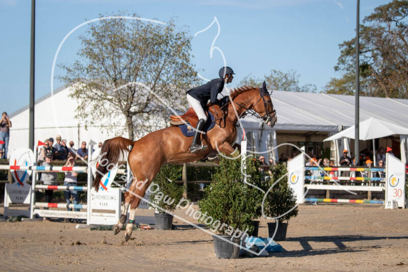 bouferterhaff-jumping-6-standard-h2ouz1.jpg