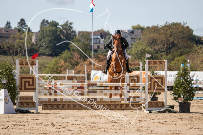 bouferterhaff-jumping-6-standard-ht8944.jpg