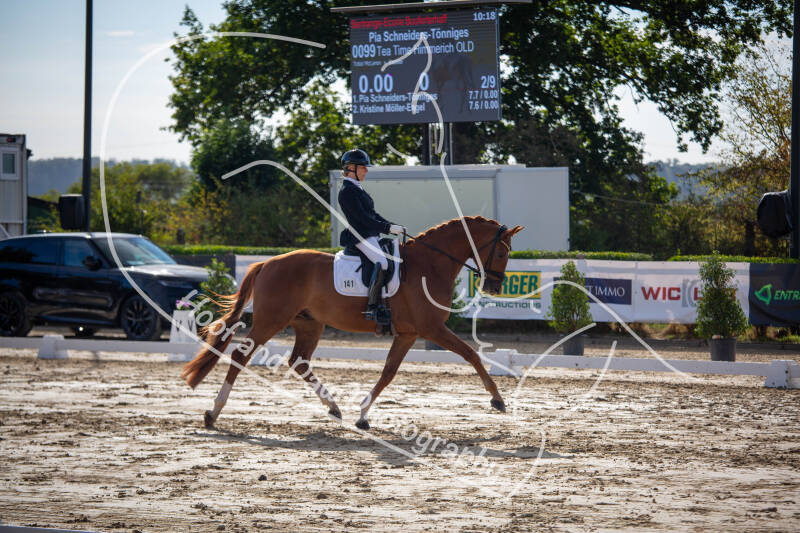 bouferterhaff-jumping-6-standard-ofp001.jpg