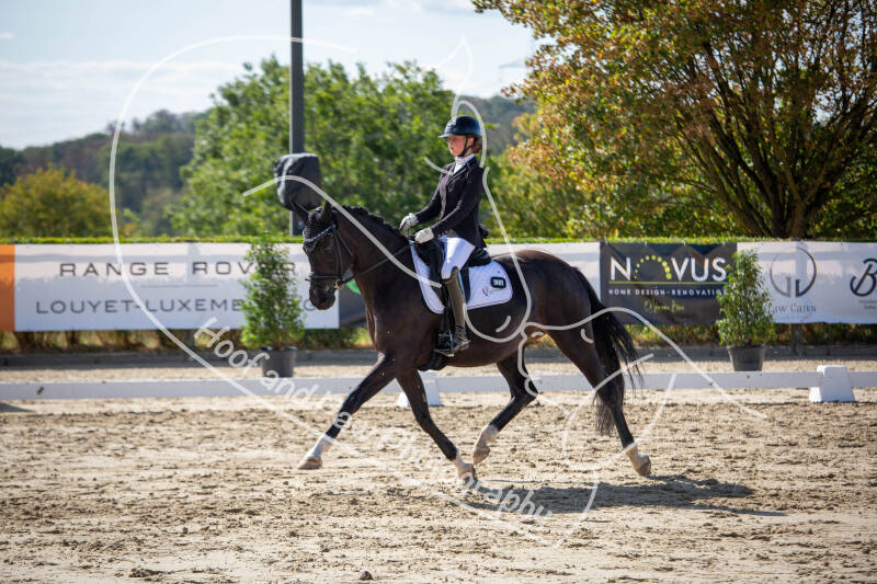 bouferterhaff-jumping-6-standard-oj3j3x.jpg