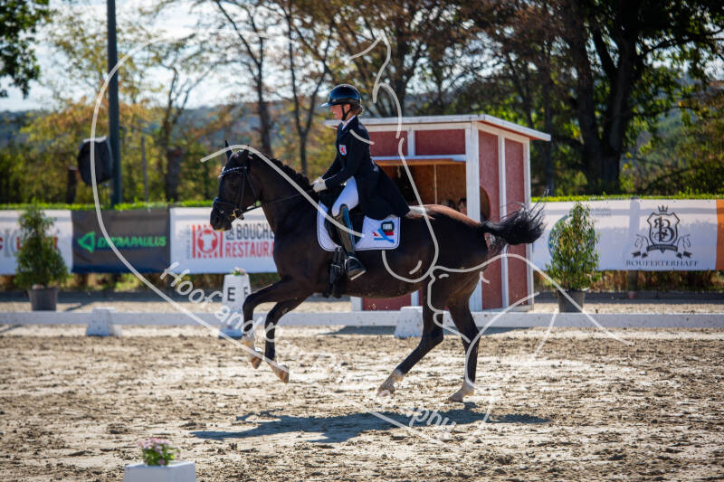 bouferterhaff-jumping-6-standard-w5clj6.jpg