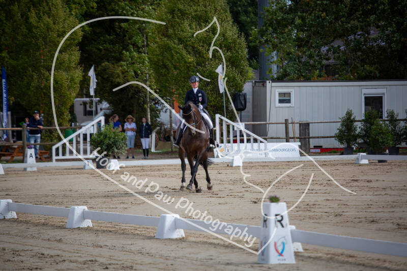 bouferterhaff-jumping-6-standard-wptgor.jpg