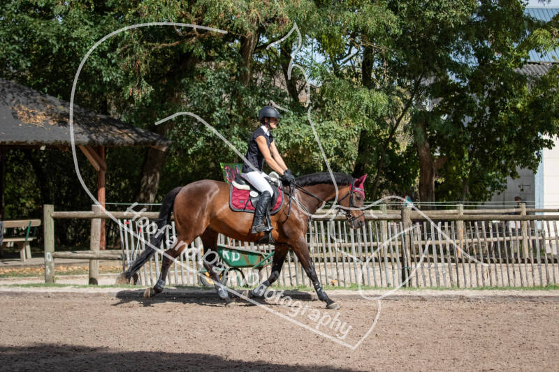 bouferterhaff-jumping-6-standard-wxmdw7.jpg