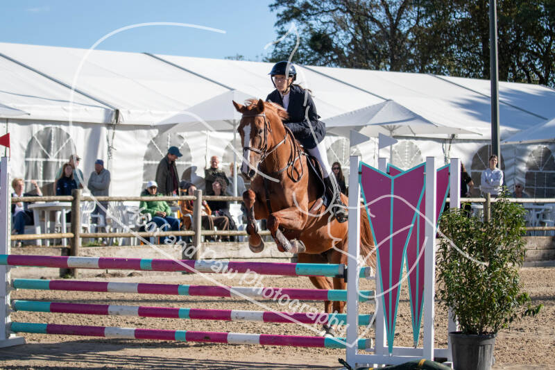 bouferterhaff-jumping-60-standard-0v9iv4.jpg