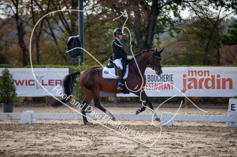 bouferterhaff-jumping-60-standard-9crx96.jpg
