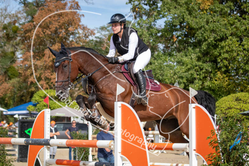bouferterhaff-jumping-60-standard-iv3fbv.jpg