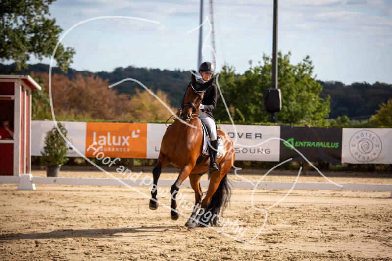 bouferterhaff-jumping-60-standard-rk45fn.jpg