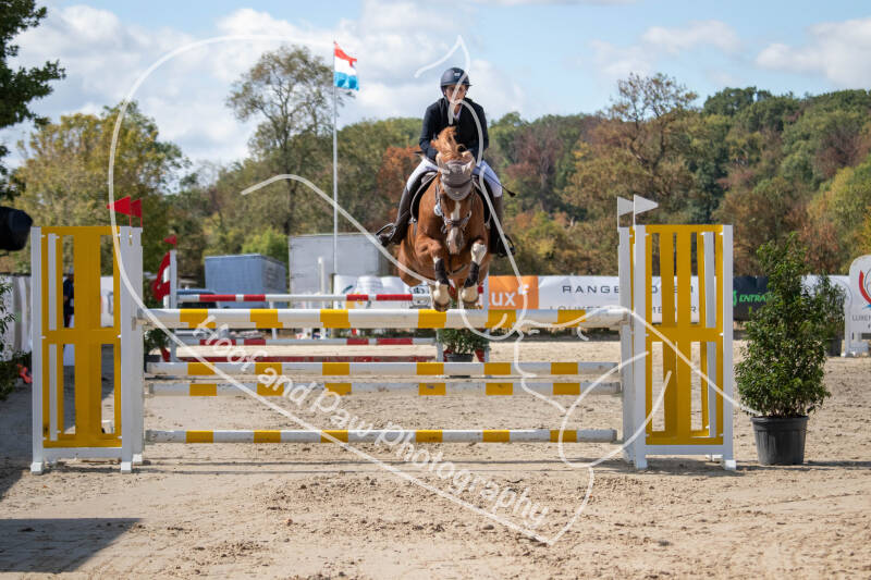 bouferterhaff-jumping-60-standard.jpg