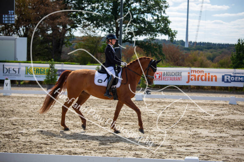 bouferterhaff-jumping-61-standard-69ev9m.jpg