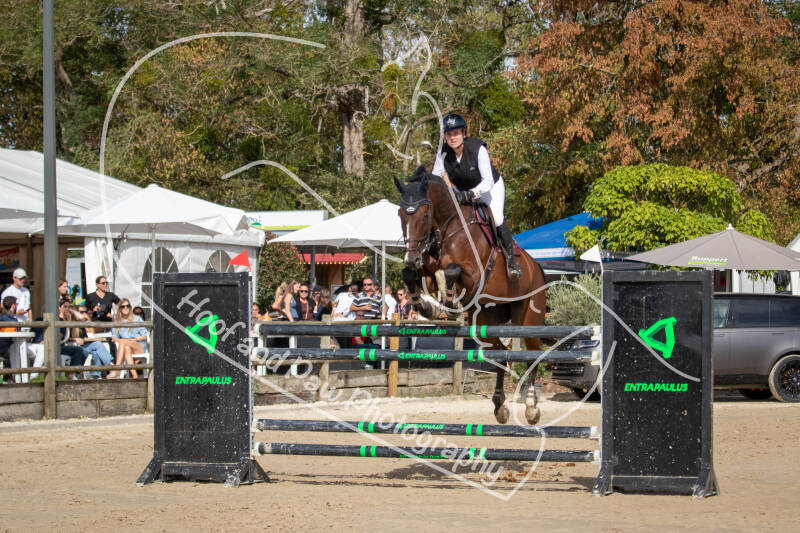 bouferterhaff-jumping-61-standard-989dwb.jpg