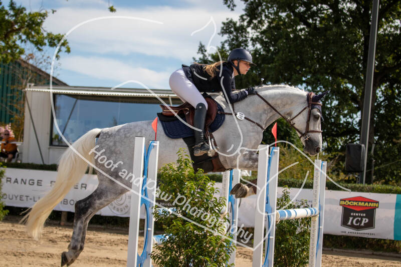 bouferterhaff-jumping-61-standard-dcmfm9.jpg