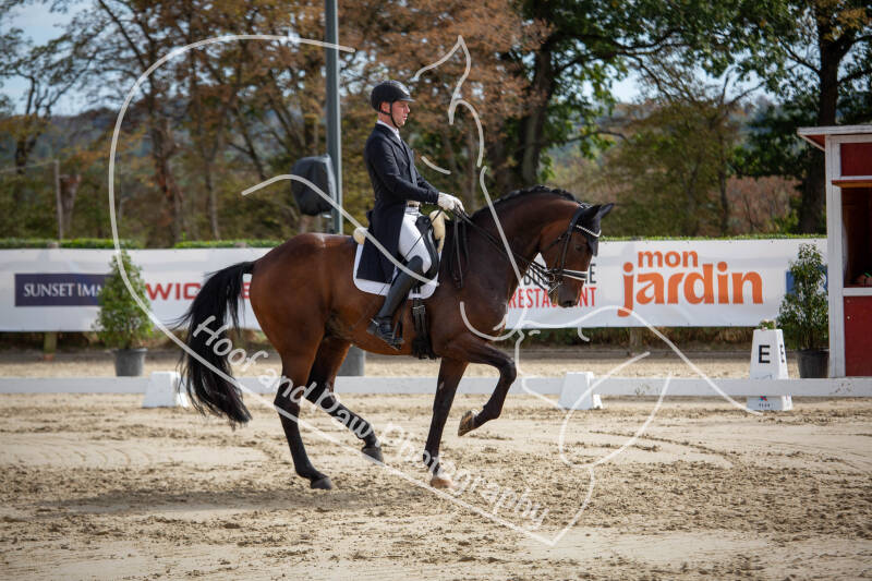 bouferterhaff-jumping-61-standard-h8d0vp.jpg