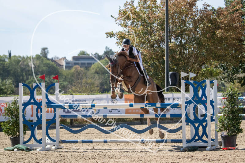 bouferterhaff-jumping-61-standard-nsn3bl.jpg