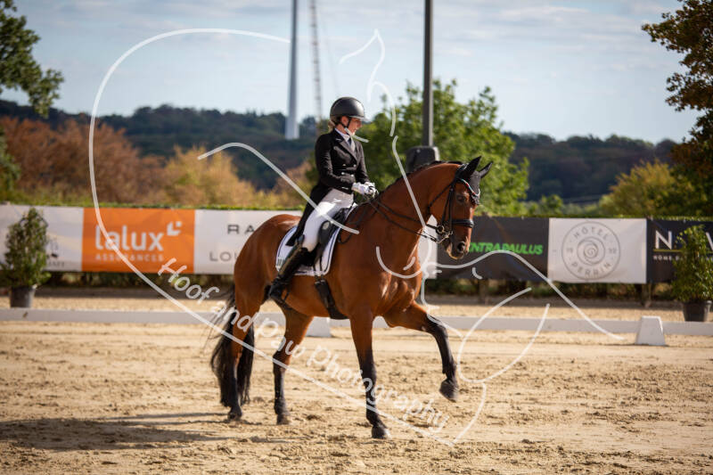 bouferterhaff-jumping-61-standard-t7gifx.jpg