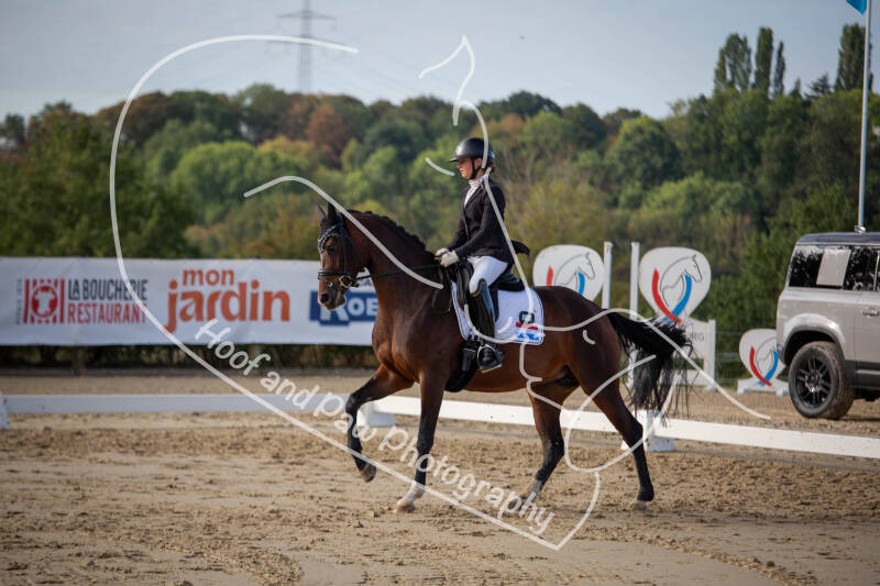 bouferterhaff-jumping-61-standard-tdt0kg.jpg