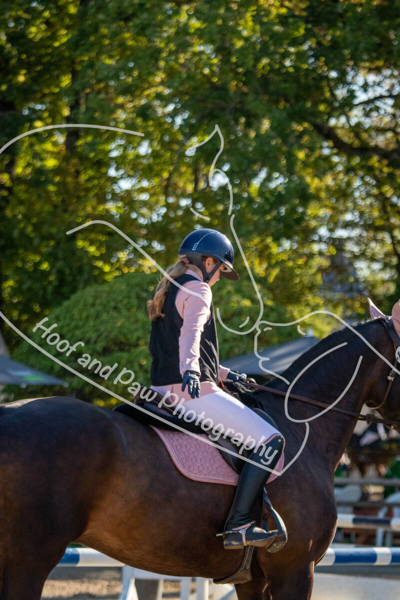 bouferterhaff-jumping-61-standard-tg6tcw.jpg