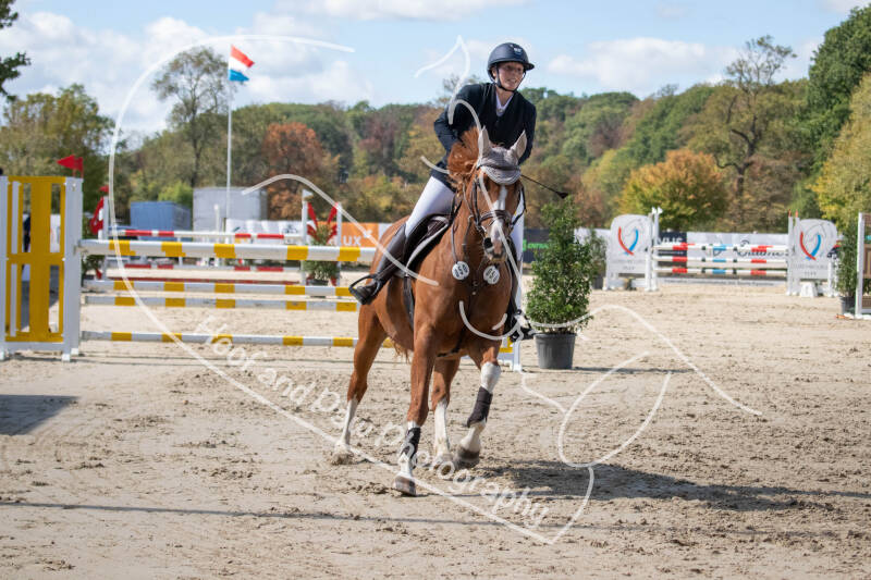 bouferterhaff-jumping-61-standard.jpg
