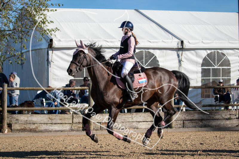 bouferterhaff-jumping-62-standard-7esezo.jpg