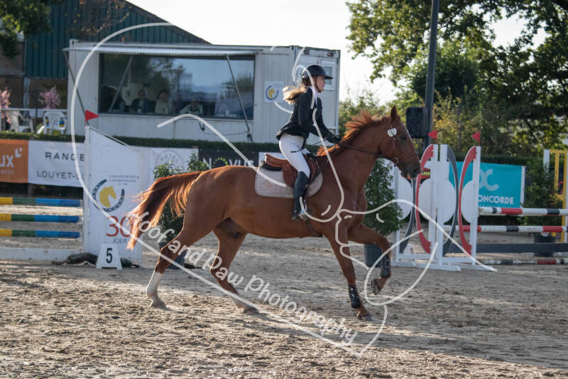 bouferterhaff-jumping-62-standard-9ny5db.jpg