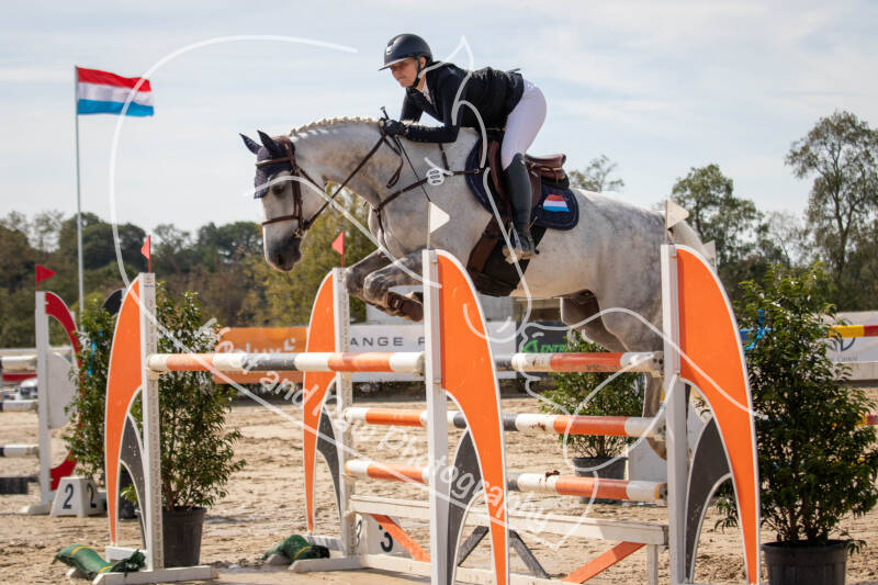 bouferterhaff-jumping-62-standard-f3cmg7.jpg