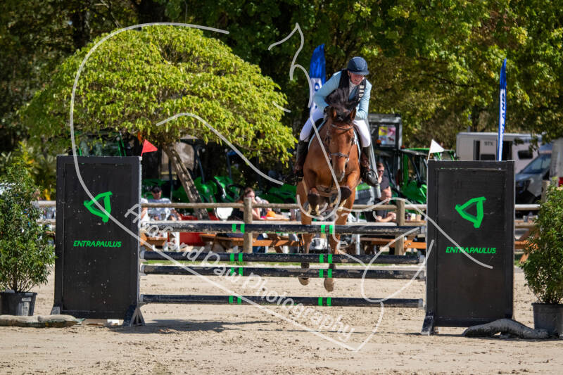 bouferterhaff-jumping-62-standard-kz4e79.jpg