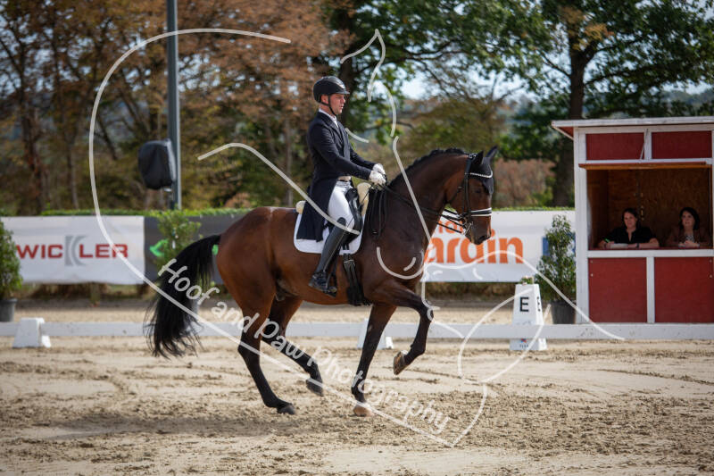 bouferterhaff-jumping-62-standard-okg1n9.jpg