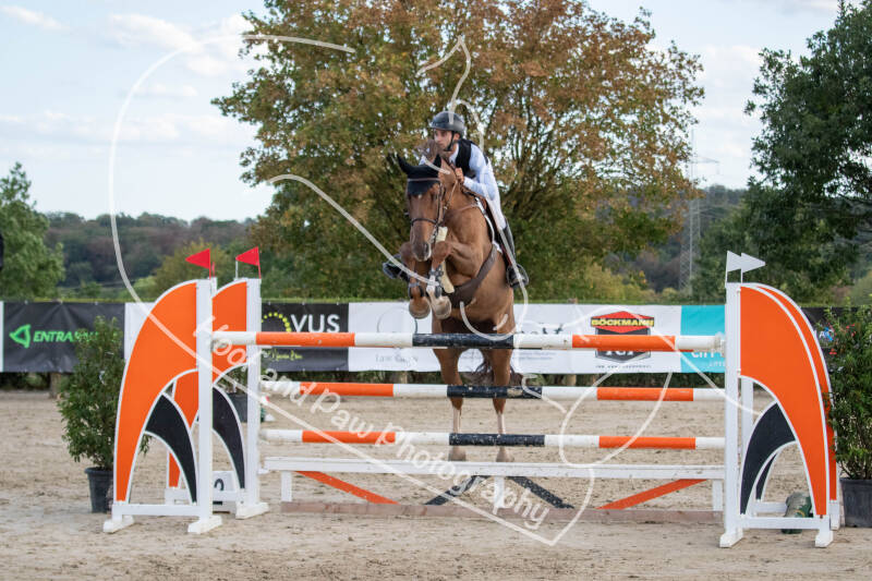 bouferterhaff-jumping-62-standard-vcf8yi.jpg