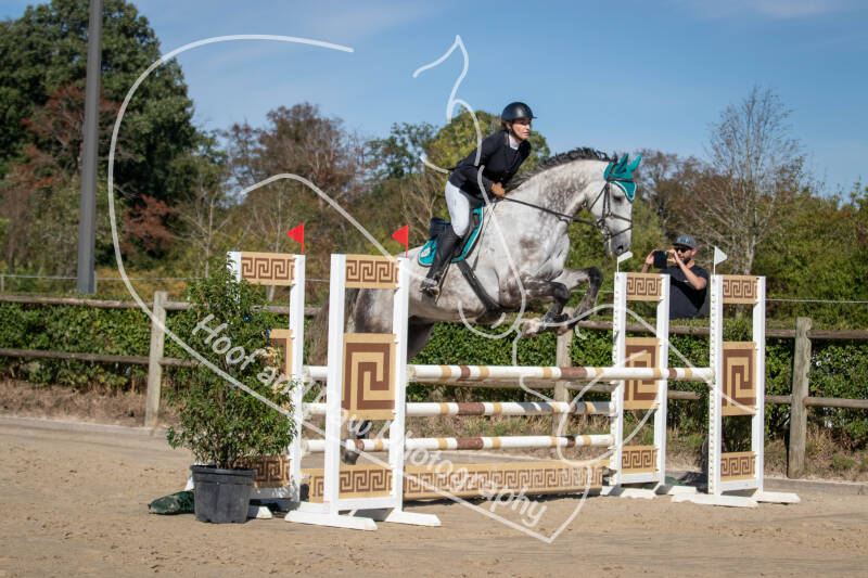 bouferterhaff-jumping-62-standard-xfokvz.jpg