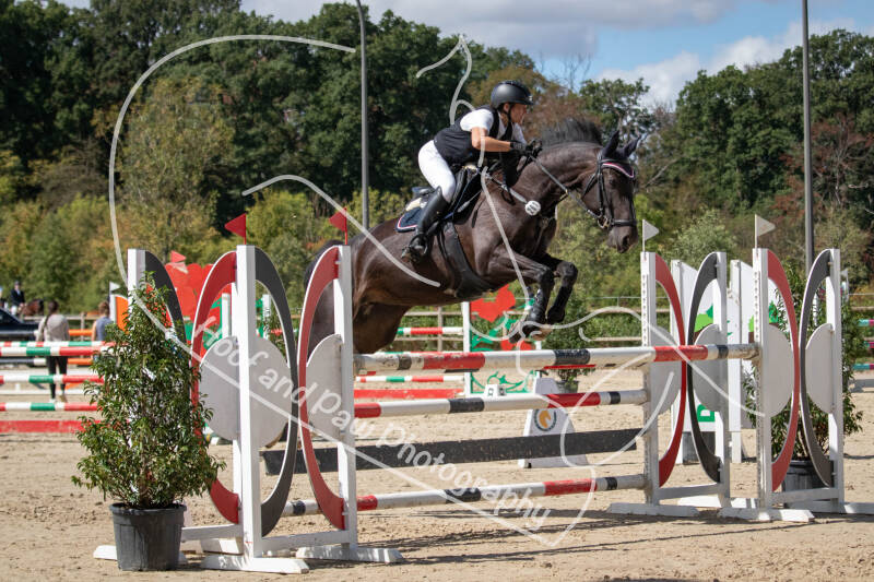 bouferterhaff-jumping-62-standard.jpg