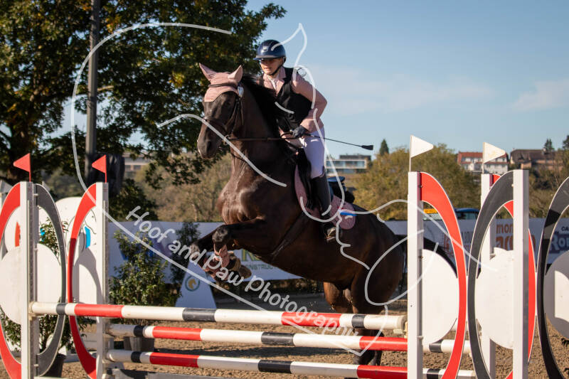 bouferterhaff-jumping-63-standard-4cz3rr.jpg