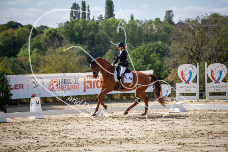 bouferterhaff-jumping-63-standard-e6kztz.jpg