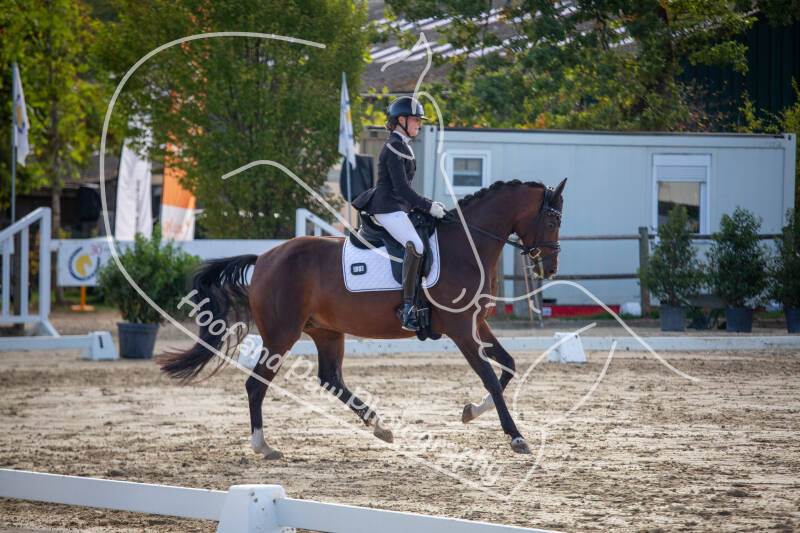 bouferterhaff-jumping-63-standard-jc1kh9.jpg