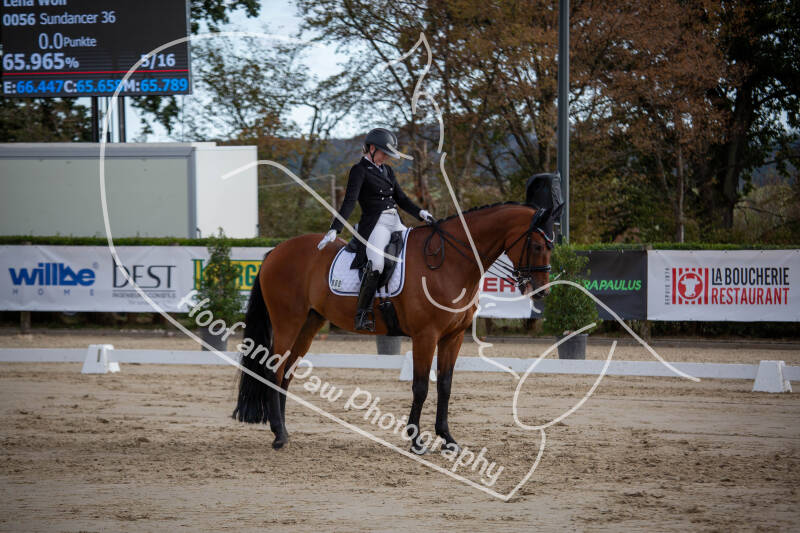 bouferterhaff-jumping-63-standard-l50op6.jpg