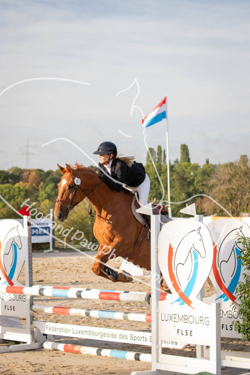 bouferterhaff-jumping-63-standard-uuuwyf.jpg