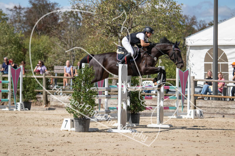 bouferterhaff-jumping-63-standard.jpg