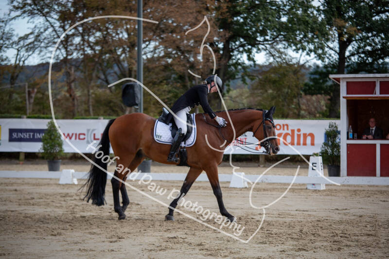 bouferterhaff-jumping-64-standard-acun50.jpg