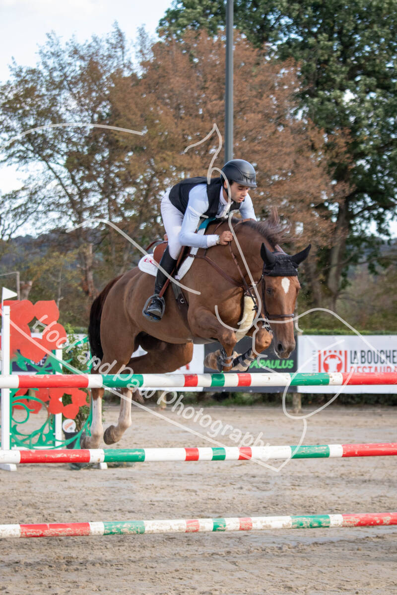 bouferterhaff-jumping-64-standard-dlhbeh.jpg