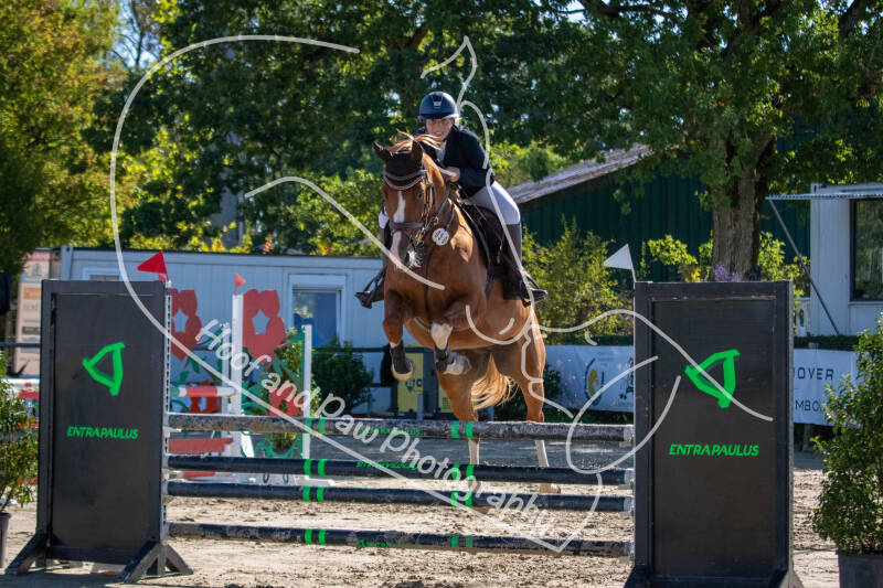 bouferterhaff-jumping-64-standard-ov3izw.jpg