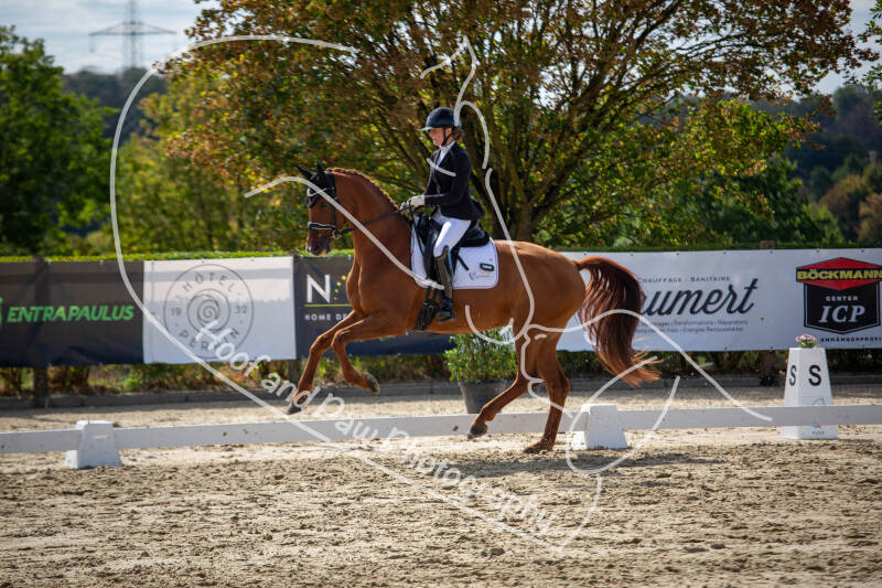 bouferterhaff-jumping-64-standard-q5qb5l.jpg