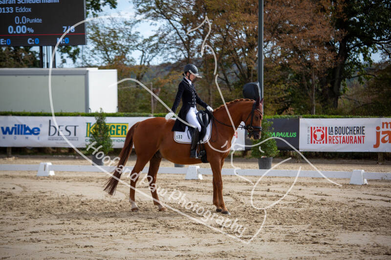 bouferterhaff-jumping-64-standard-qesvyl.jpg
